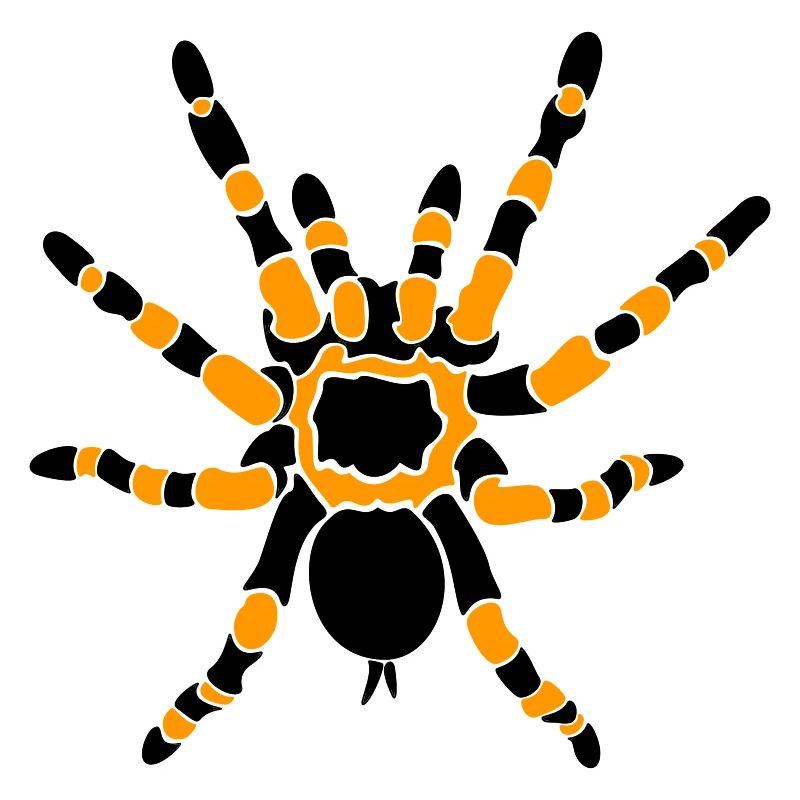 Orange Knee Tarantula