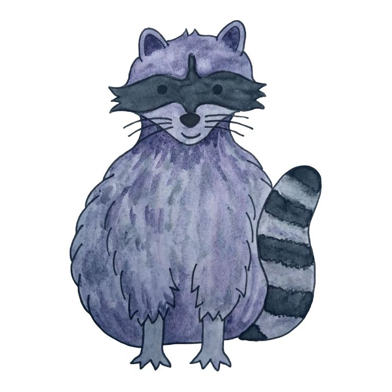 cute raccoon