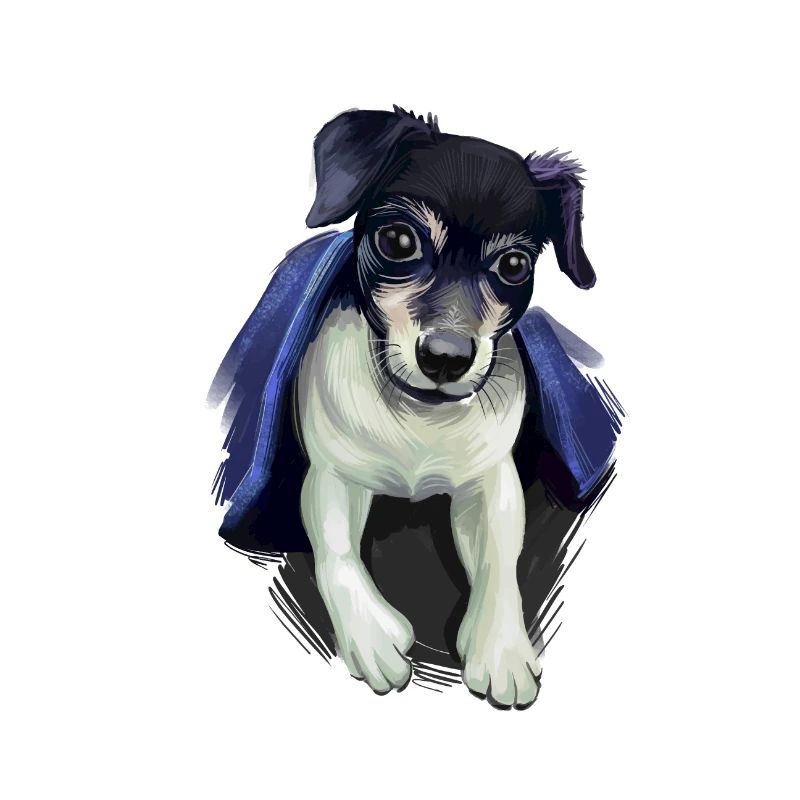 Illustration de l’aquarelle du chien Fox Terrier chilien
