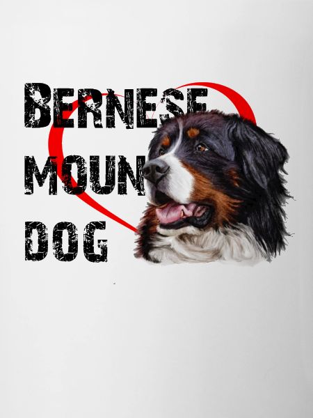 Bouvier bernois