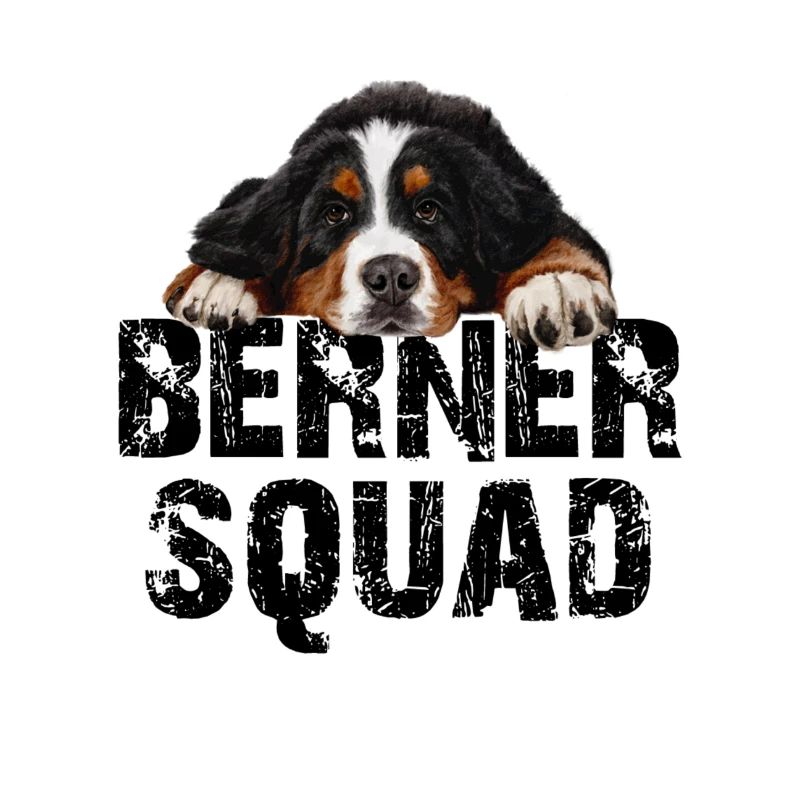 Bouvier bernois