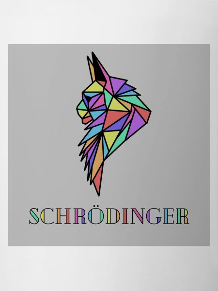 Chat Schrödinger