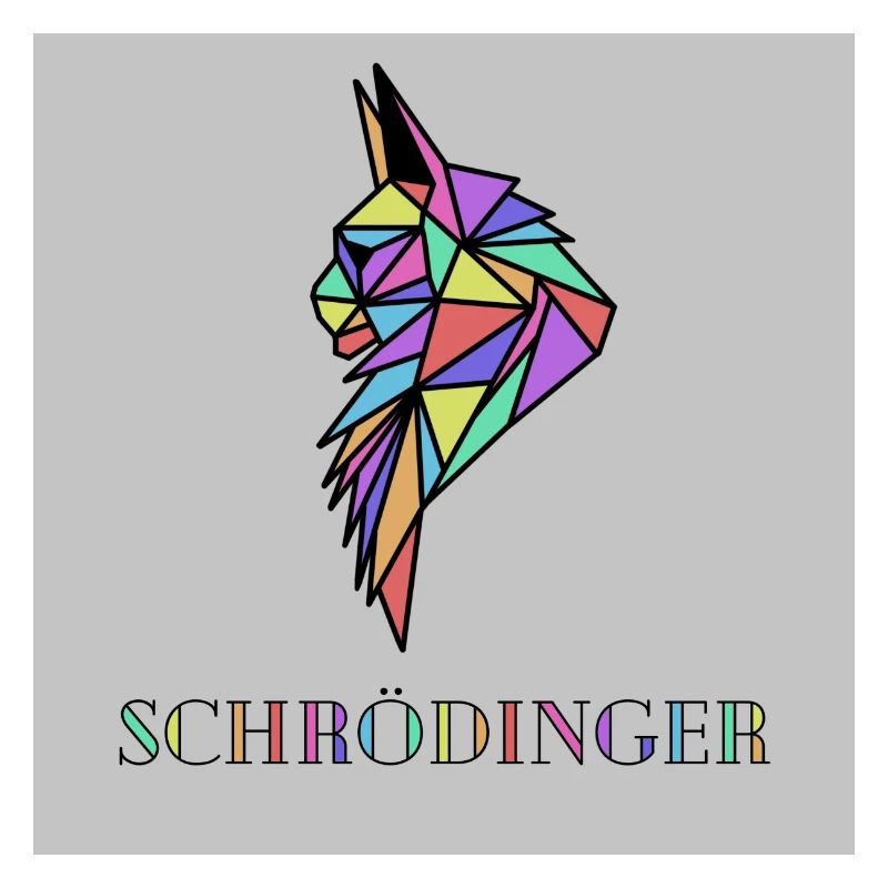 Chat Schrödinger