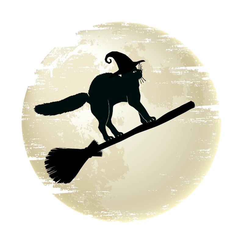 Halloween cat on her Witch's Broom