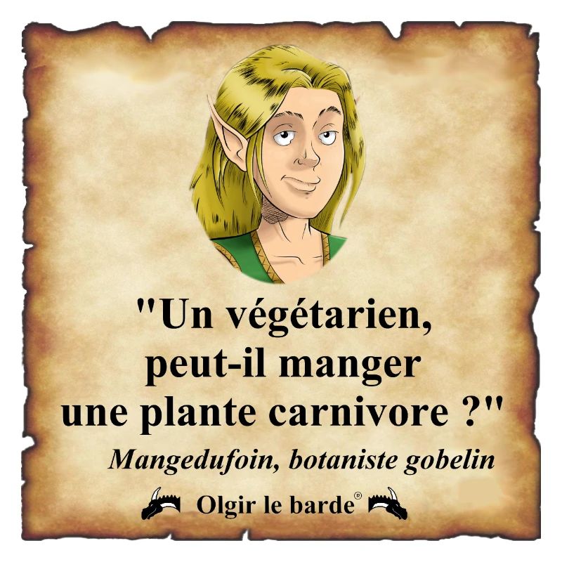 elfe végétarien