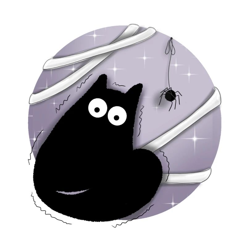 Katze mit Spinne
