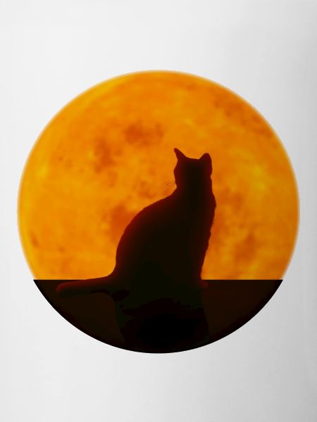 Katze