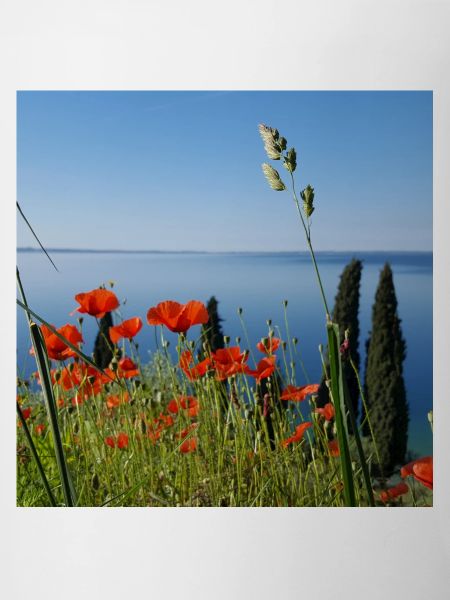 Lake garda