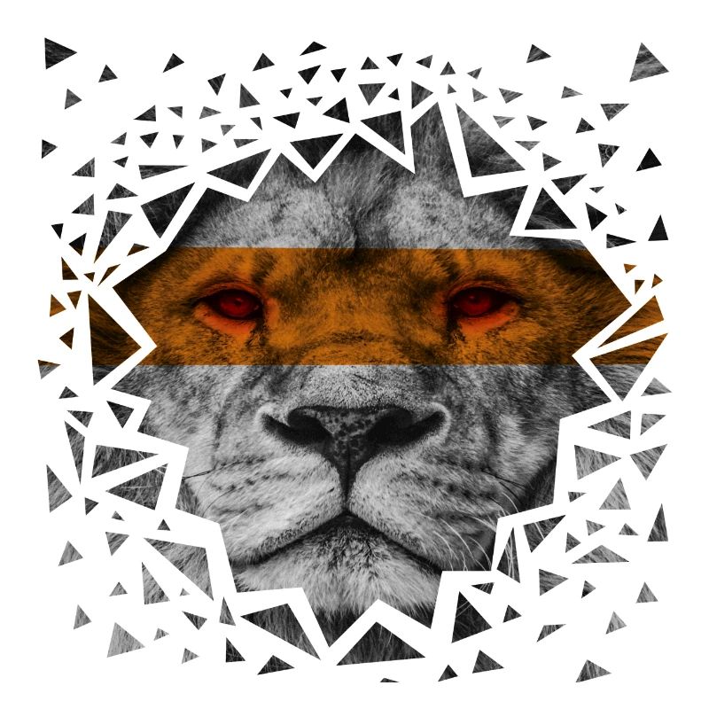 Leo - galata yellow red