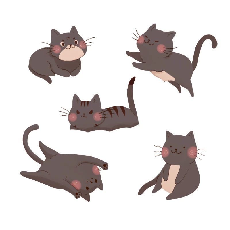 Schwarze Katzen-Crew