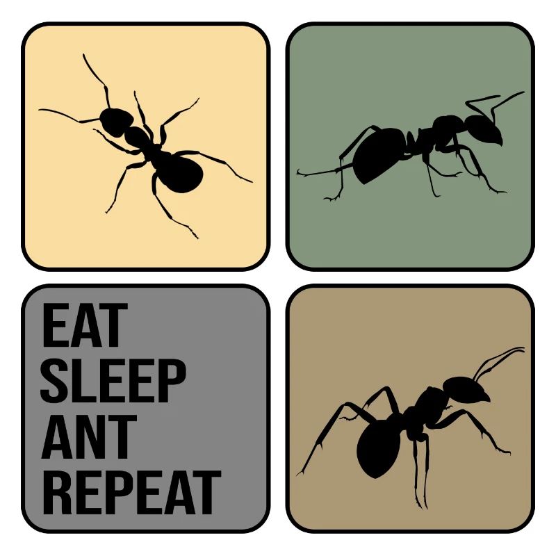 Ant ant State Fire ant ant-life