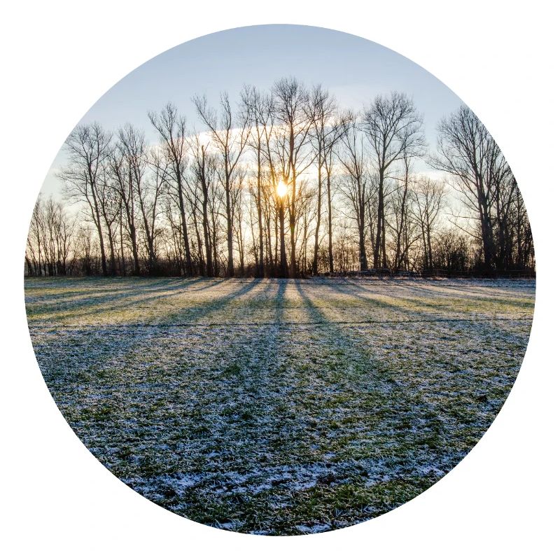 Soleil d’hiver
