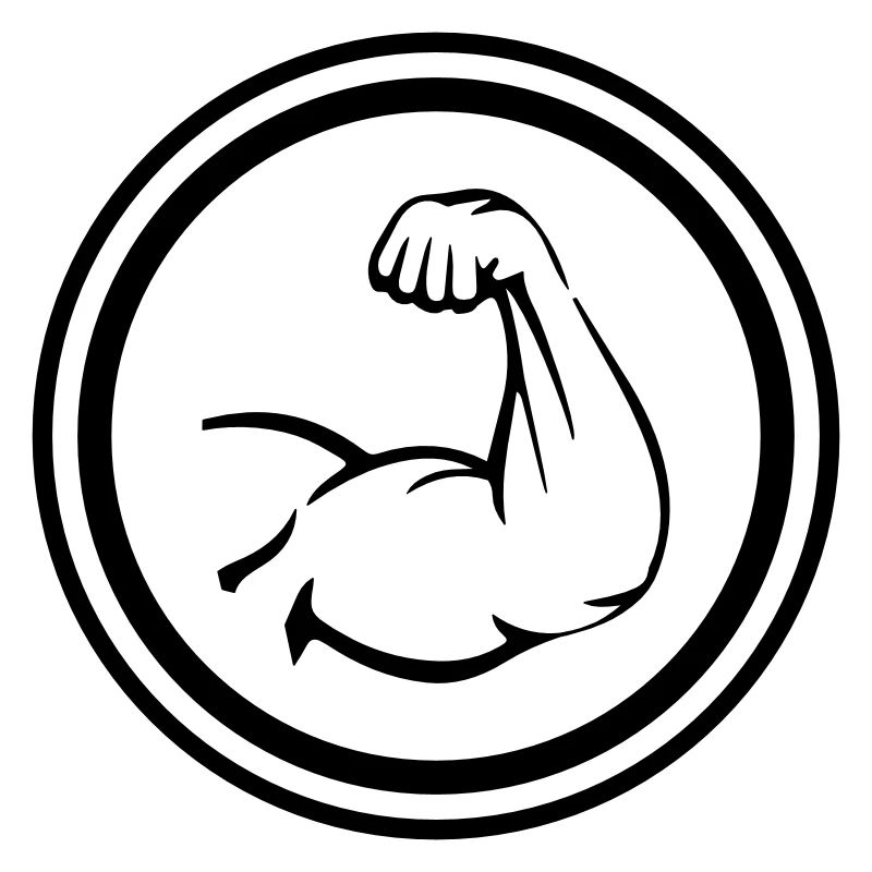 Muscles du bras biceps