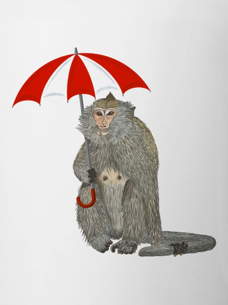 Parapluie de singe