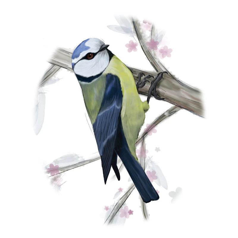 Dessin numérique bleu