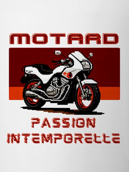 Motard Passion Intemporelle