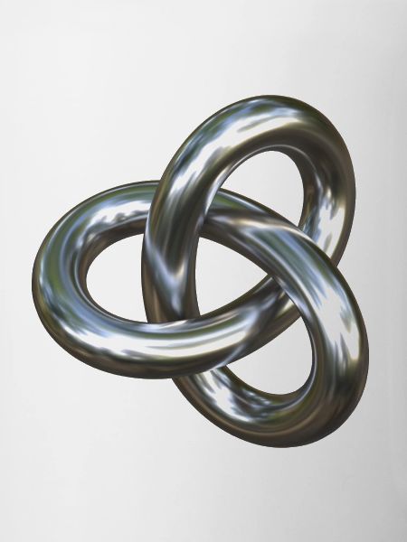 Torusknoten Silber 3D