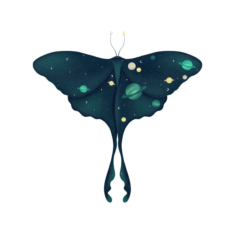 Papillon cosmique