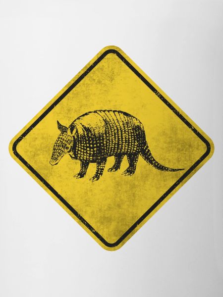 Armadillo