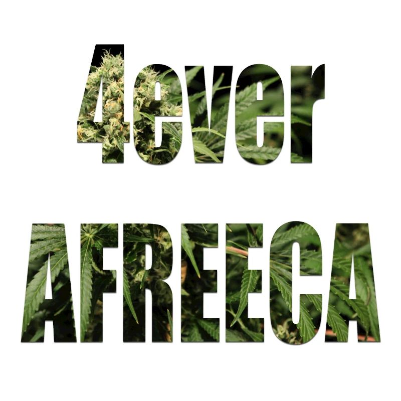 4ever afreeca