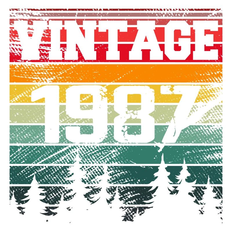 1987 Vintage Birthday Gift 1987 Retro