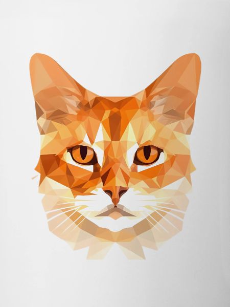 Chat polygonal