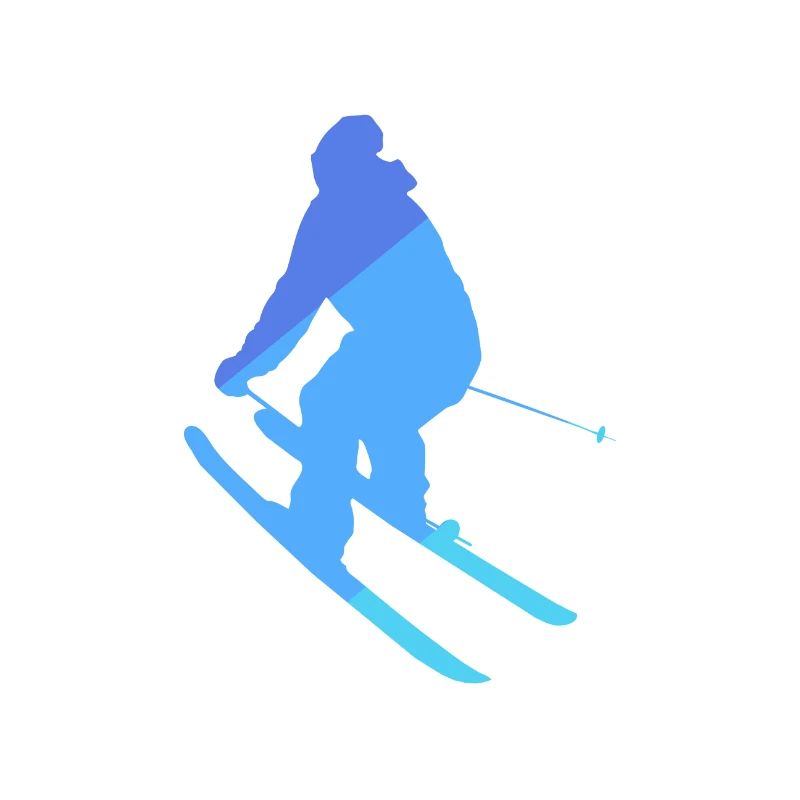Ski Neige Ski Skieur