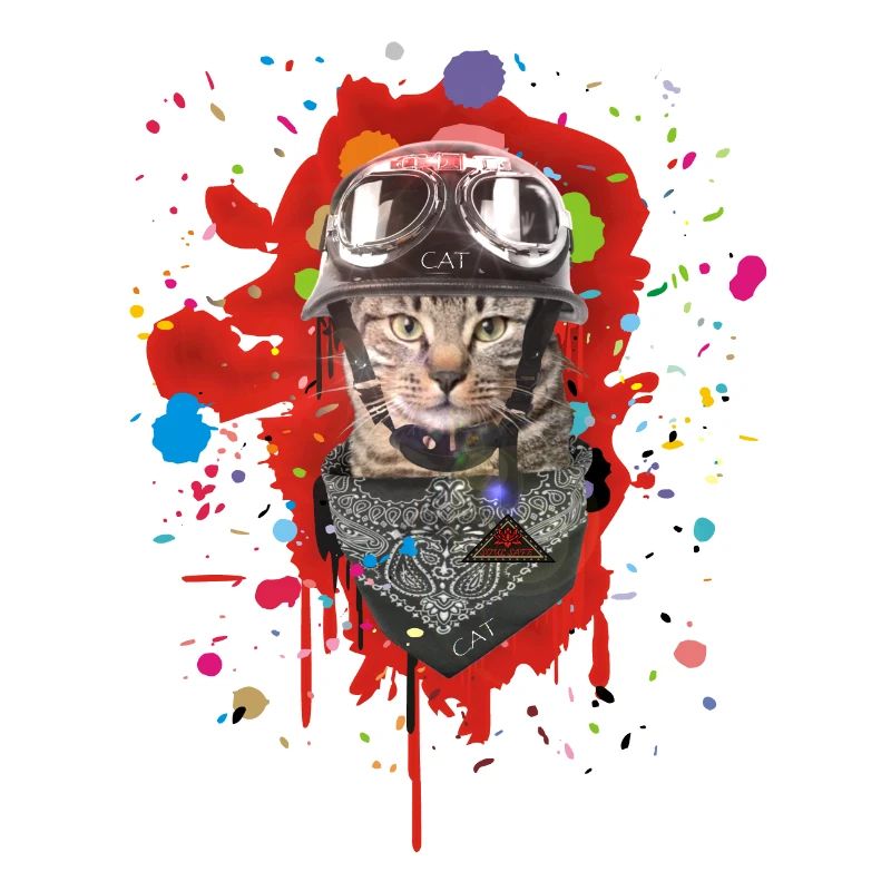 Motorrad Kätzchen Biker Katze
