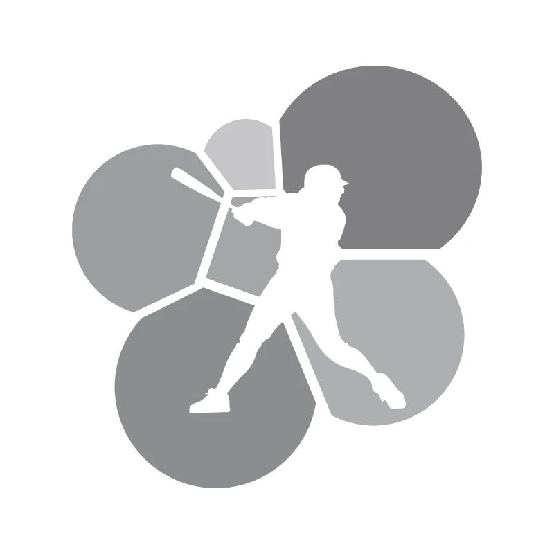 Pitcher Softball Softball Player