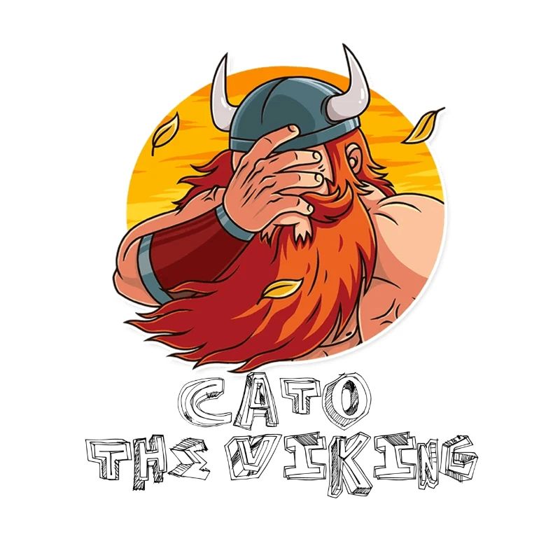 FacePalm Viking