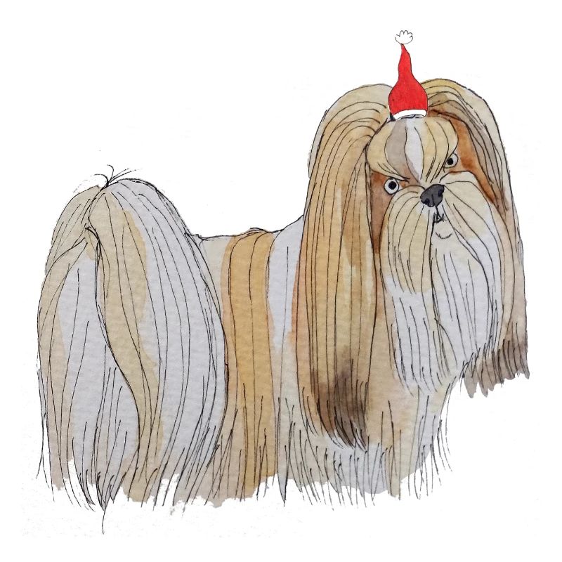 Noël à Lhassa Apso