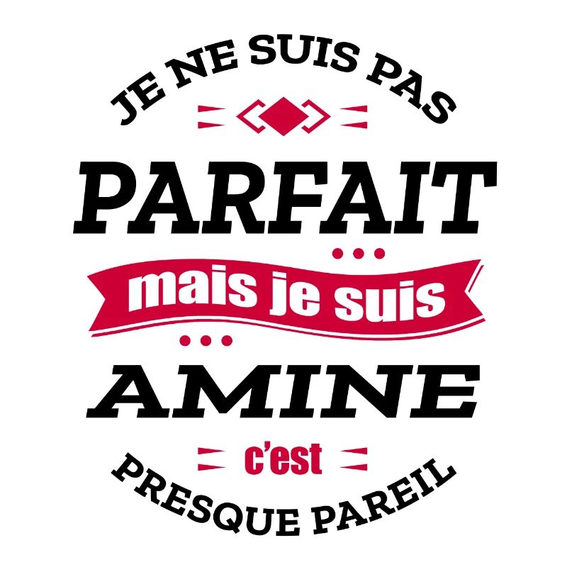 AMINE PARFAIT - PRENOM AMINE