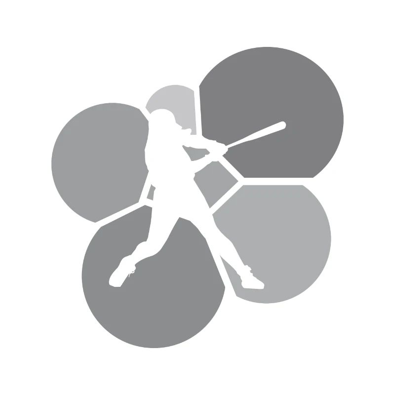 Softball Player Softball Bat Pitcher