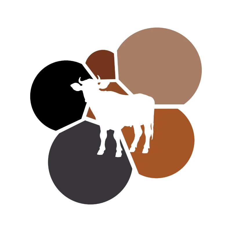 Moo de boeuf de vaches