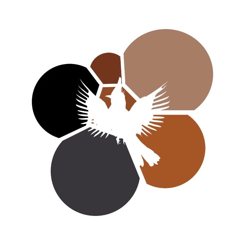 calopsitte, mouches, mouches