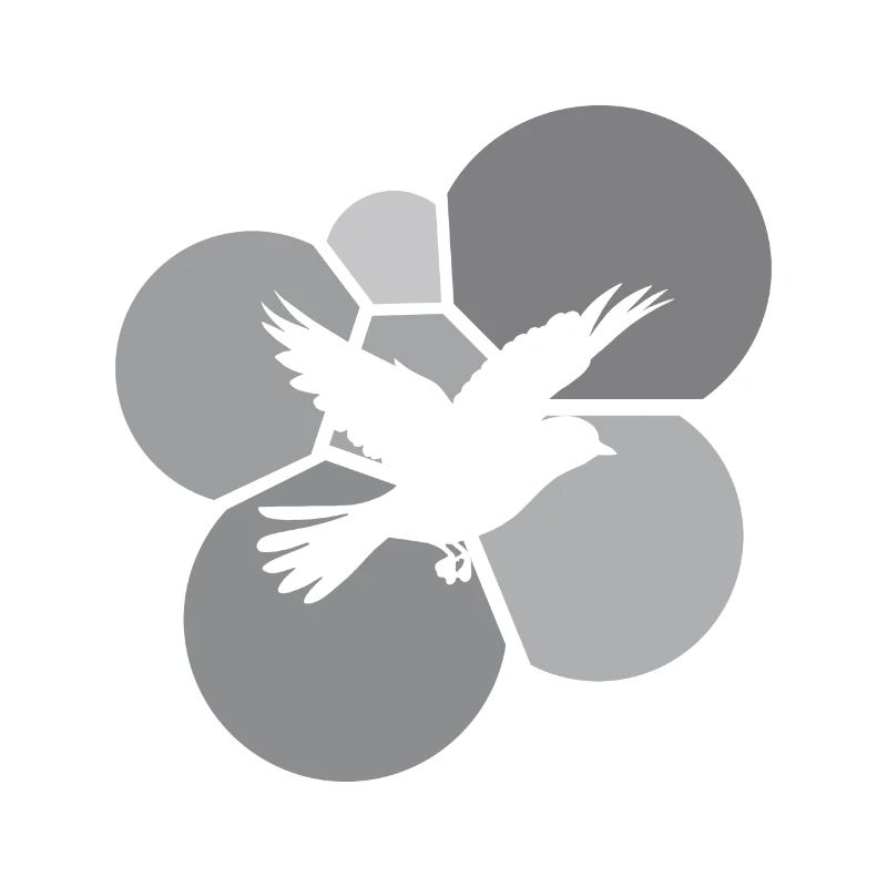 Animaux Oiseaux Volant