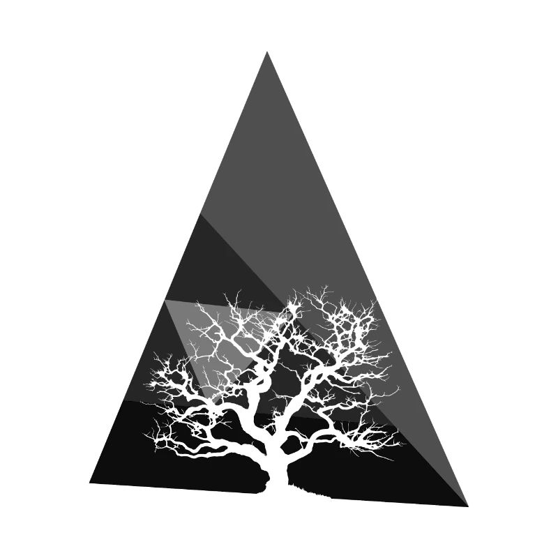 Botany Botany Flower