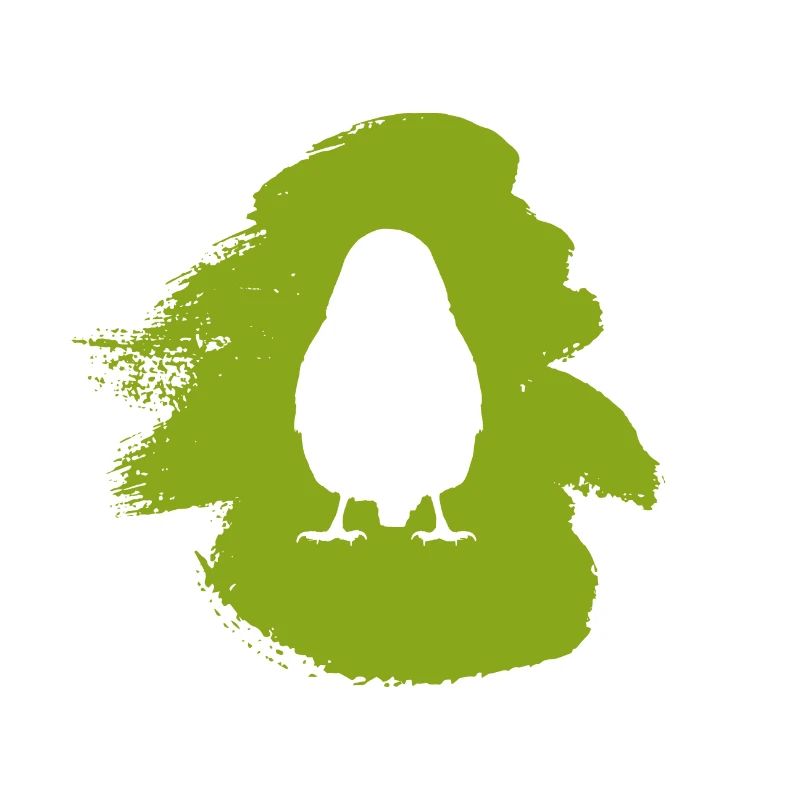 Observation des oiseaux Oiseau Oiseau