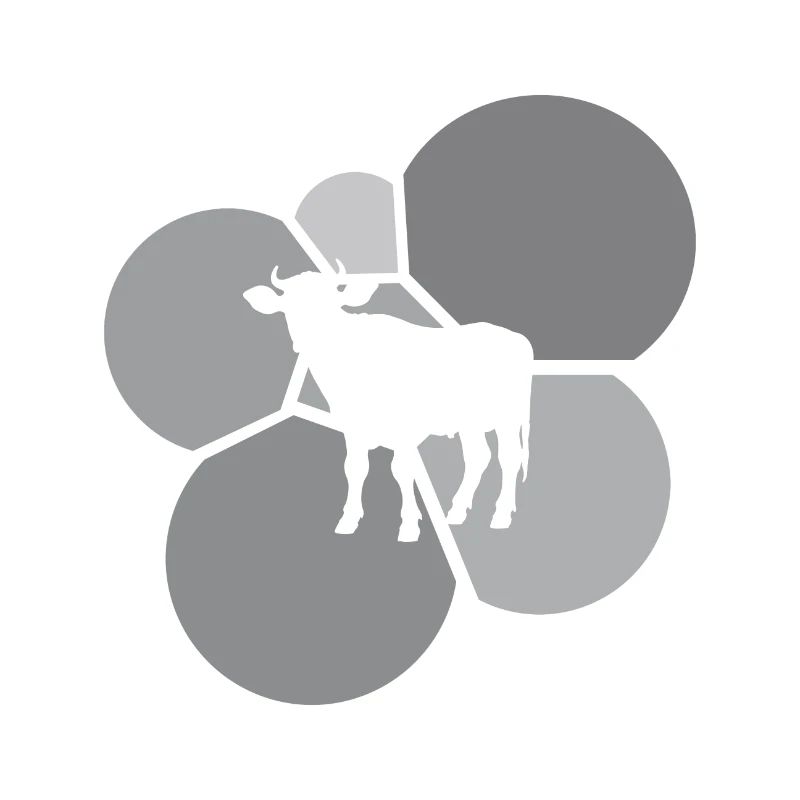 Vaches Bovins Éleveur