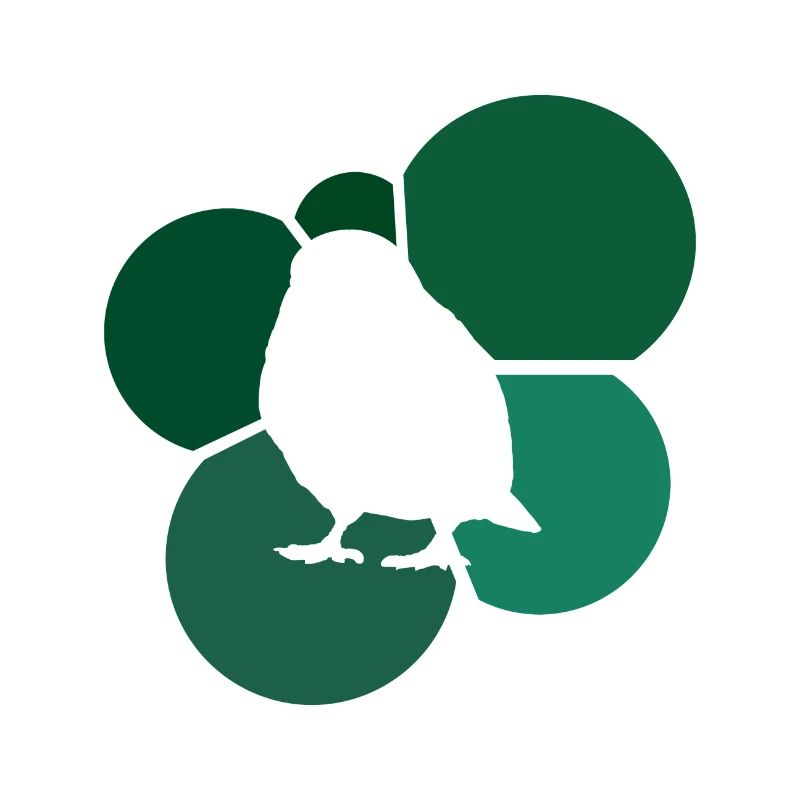 Oiseaux oiseaux observant les ailes