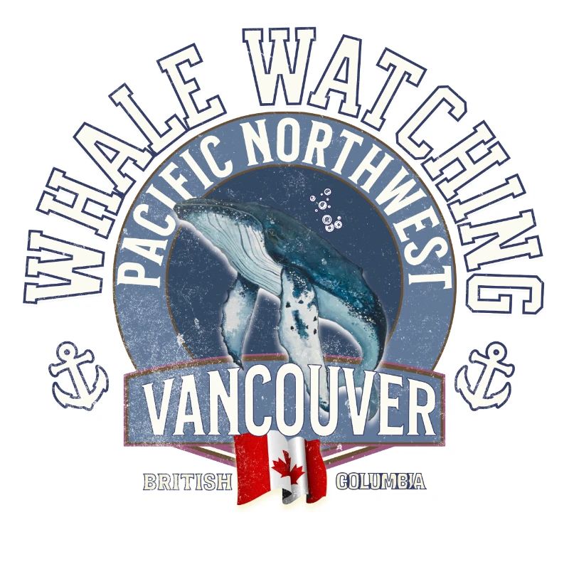 Whale watching pacific northwest 2