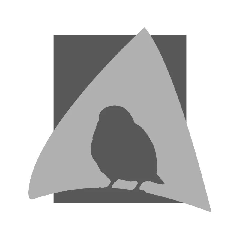 Bird Watching Flying Bird Illustration