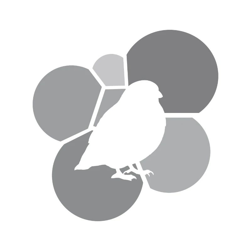 Bird Wing Flight Illustration