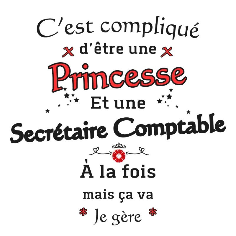Princesse Secrétaire Comptable