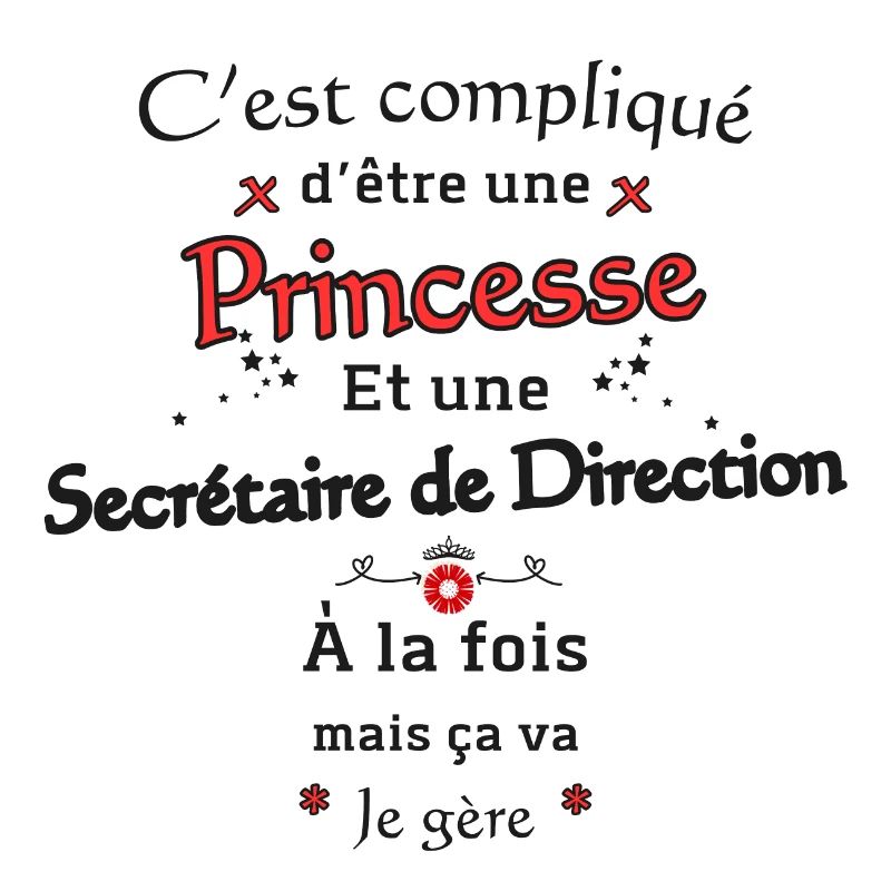 Princesse Secrétaire de Direction