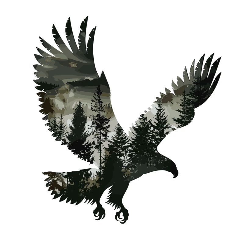 Silhouette majestueuse d’aigle de la nature de la forêt