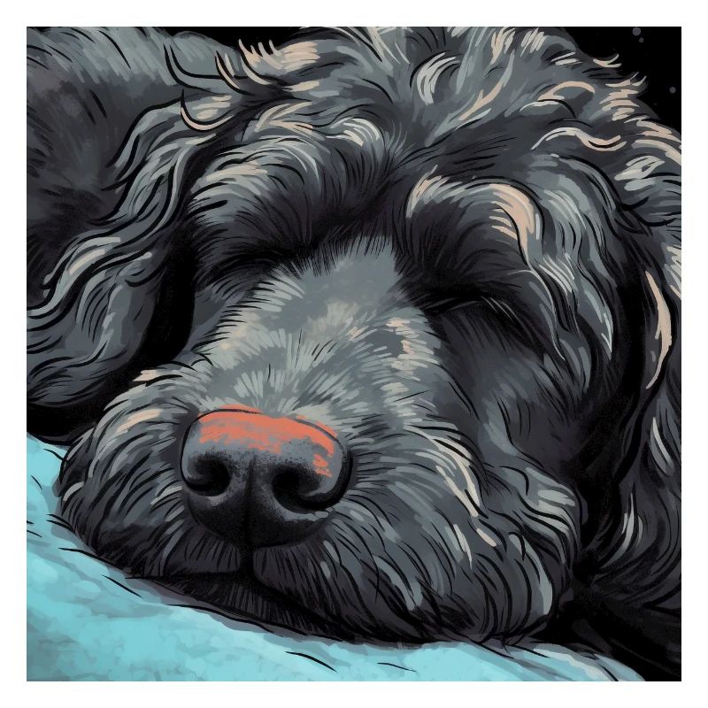 Sleeping Black Golden Doodle