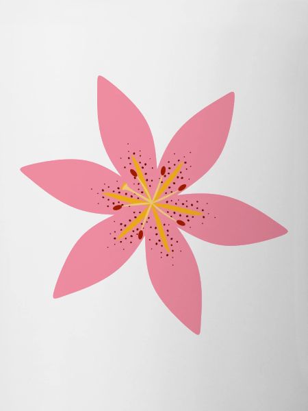 Lily Flower