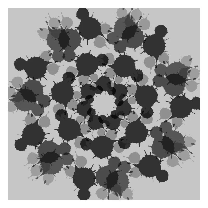 Black and White Abstract Flower