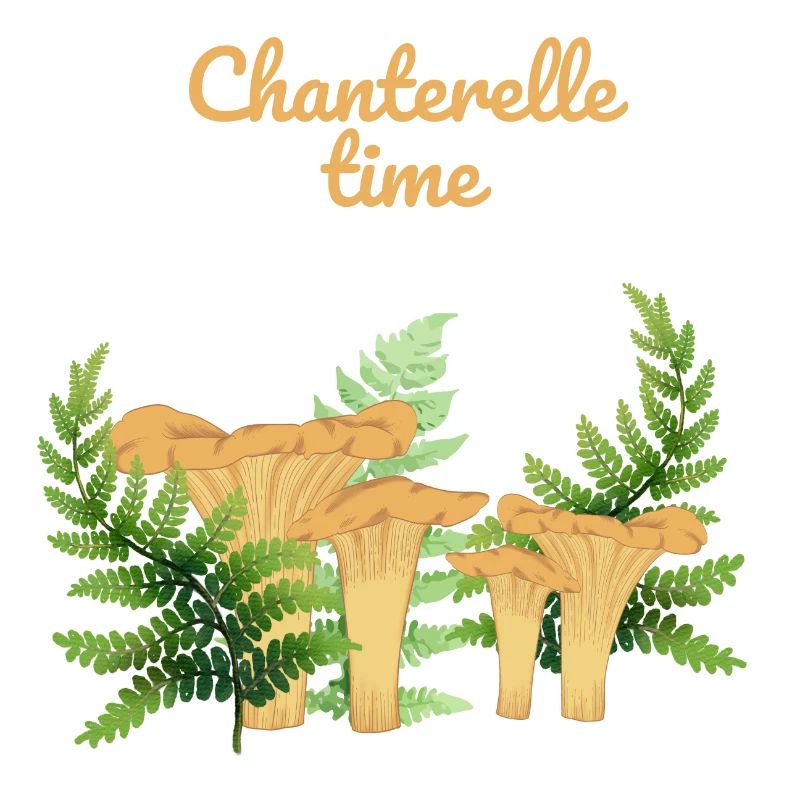 Chanterelles in a forest